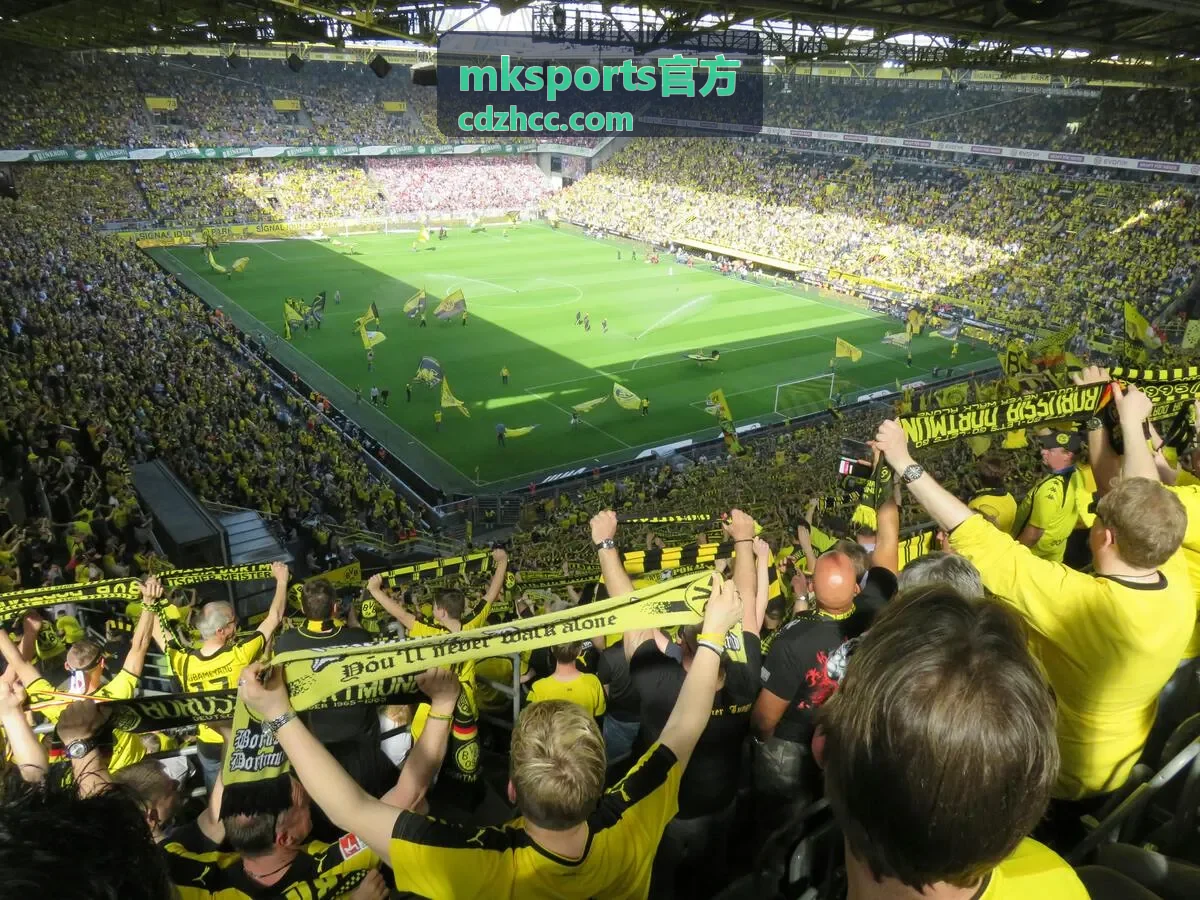 mksports官方 会员与账户服务中的权益组合与到期时间展示