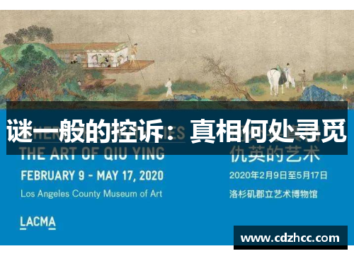 谜一般的控诉：真相何处寻觅